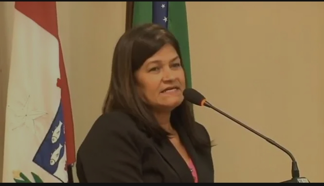 Secretária de Saúde Waninna Mendonça que foi bastante criticada na sessão passada pela vereadora Raquel Tavares, hoje foi só “mimo”
